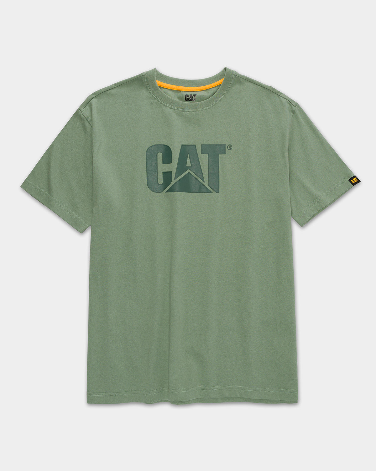 Camiseta Iceberg Green